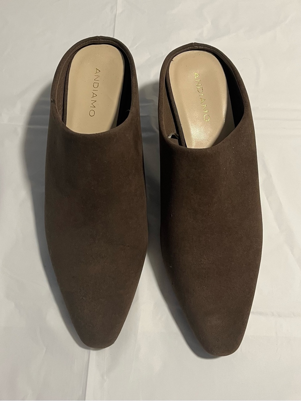 Audiamo Brown Faux Suede Slip-On Women's Mule